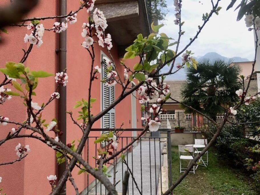 Giuditta Freecarpark&Garden Domodossola Dış mekan fotoğraf