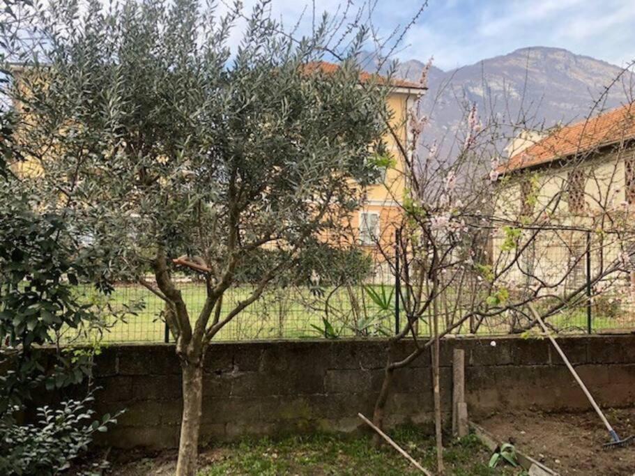 Giuditta Freecarpark&Garden Domodossola Dış mekan fotoğraf