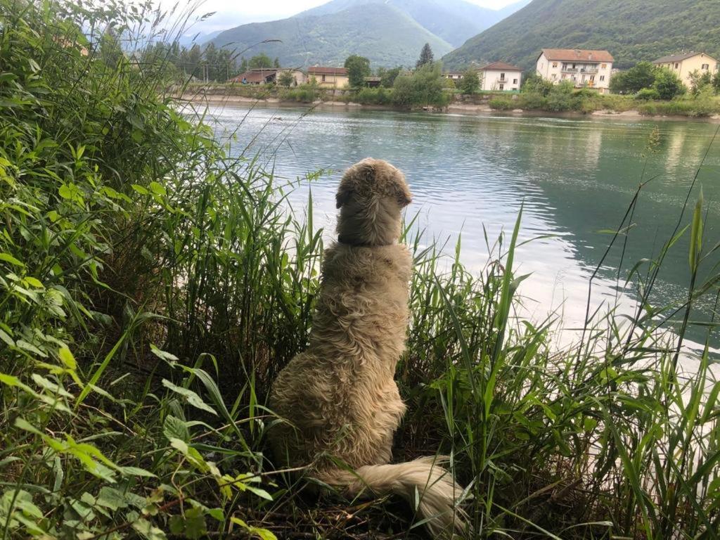 Giuditta Freecarpark&Garden Domodossola Dış mekan fotoğraf