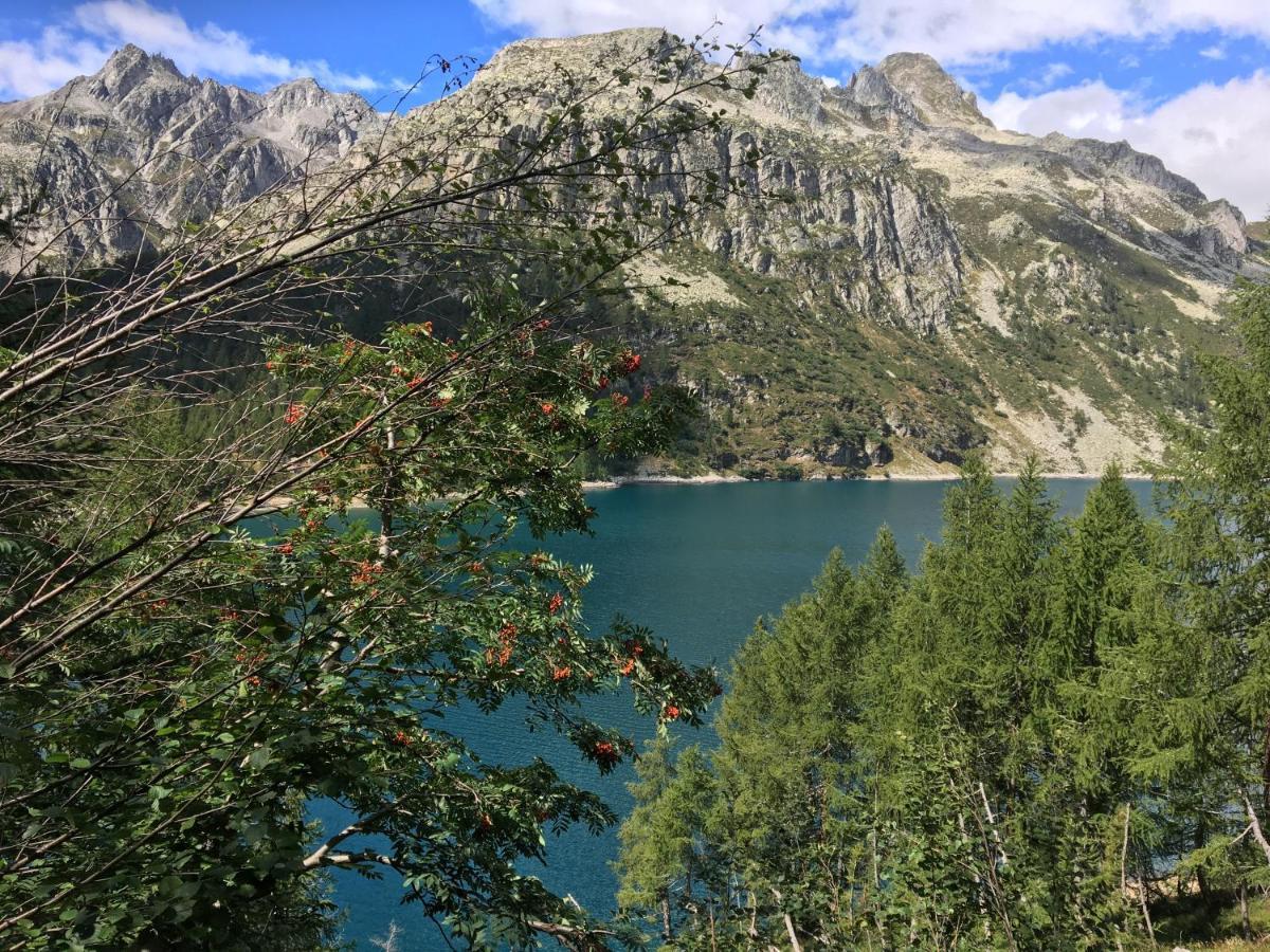 Giuditta Freecarpark&Garden Domodossola Dış mekan fotoğraf