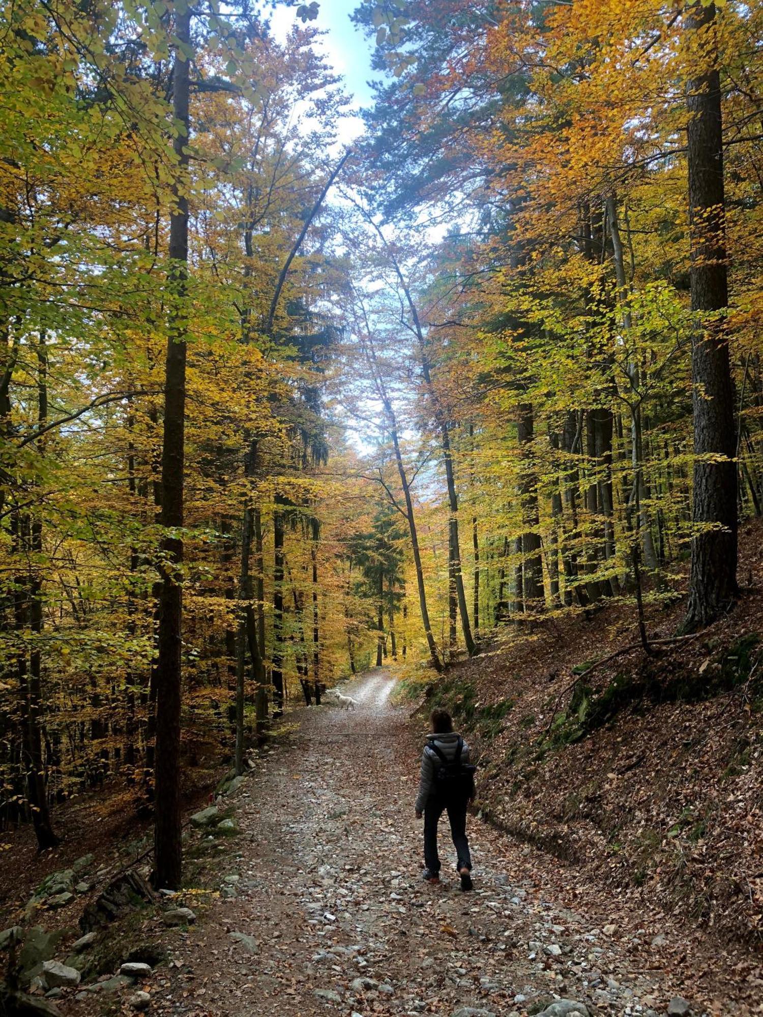 Giuditta Freecarpark&Garden Domodossola Dış mekan fotoğraf